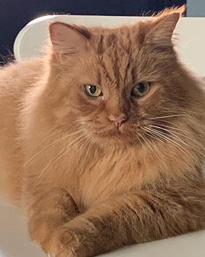 Meet Rita